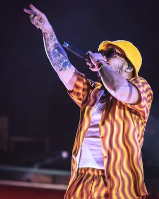 Anderson Paak Phoenix