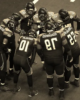 Arizona Rattlers Glendale