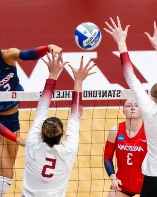 Arizona Wildcats Volleyball Tempe