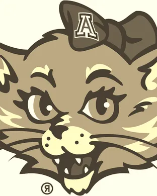 Arizona Wildcats Tempe