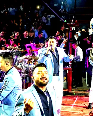 Banda Ms Phoenix