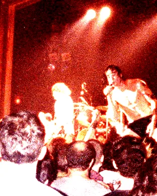 Black Flag Phoenix