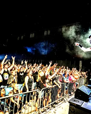Hairball Tempe