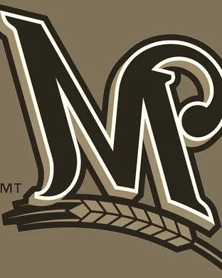 Milwaukee Brewers Phoenix