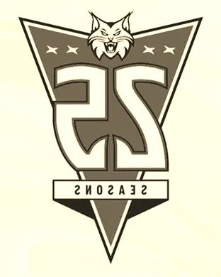 Minnesota Lynx Phoenix