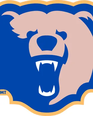 Morgan State Bears Football Phoenix