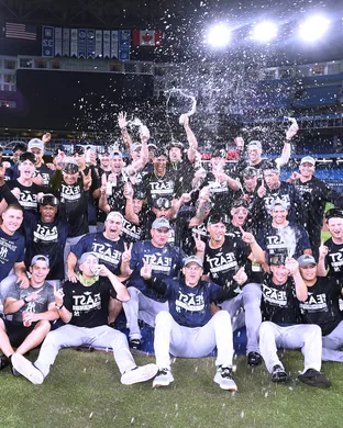New York Yankees Phoenix