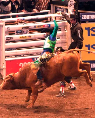 Pbr - Professional Bull Riders Glendale