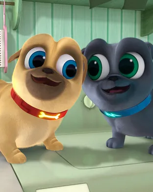 Puppy Pals Tempe