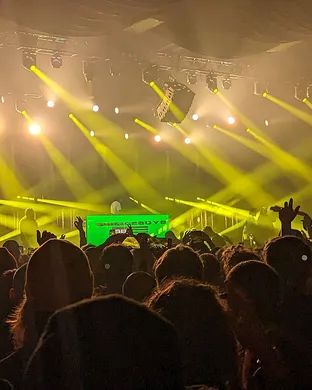 Shakewell Phoenix