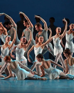 Phoenix Ballet Phoenix